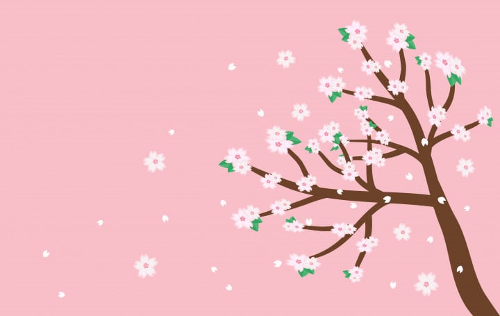 Spring has sprung